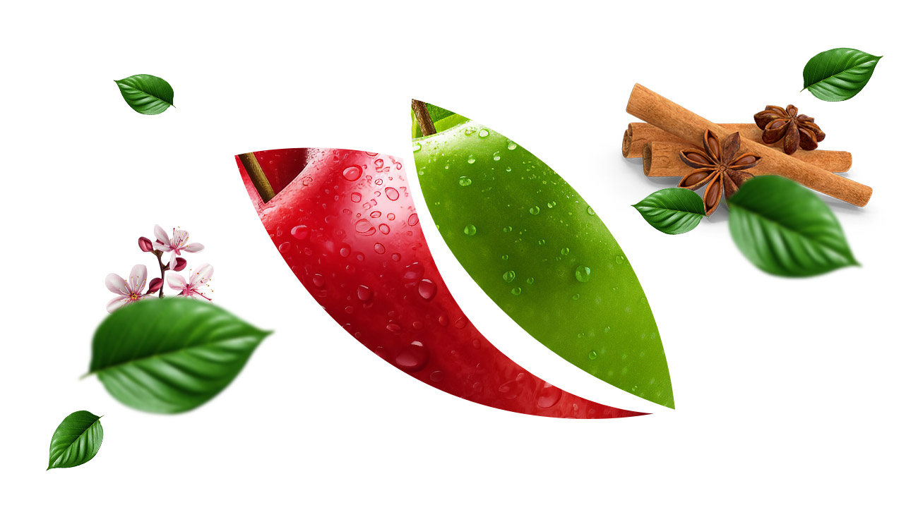 Apple-Juice-with-Cinnamon-fruits