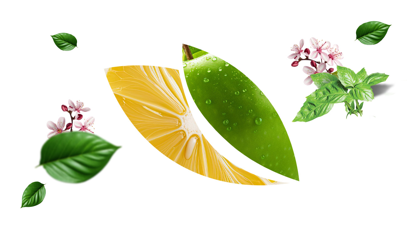 Lemon-Mint-Apple-fruits Lemon-Mint-Apple-fruits